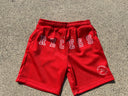 Varsity Mesh Shorts